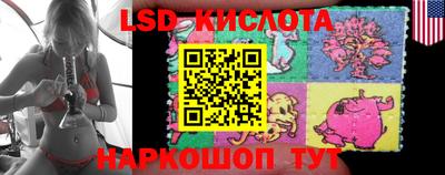 прущие грибы Кунгур
