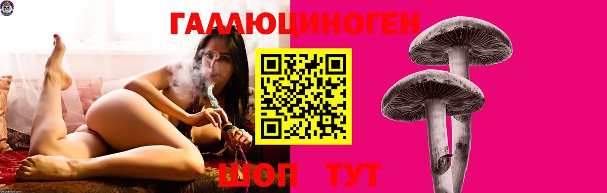 Псилоцибиновые грибы Cubensis  Вход с VPN  Среднеуральск 